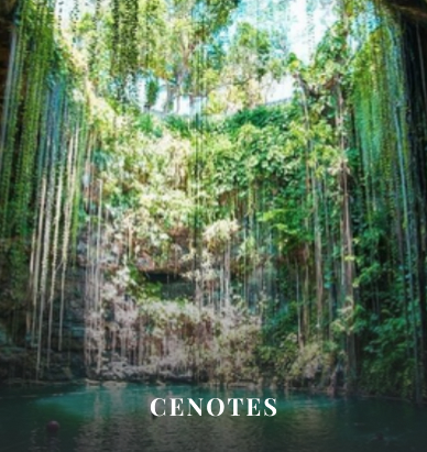 Cenotes